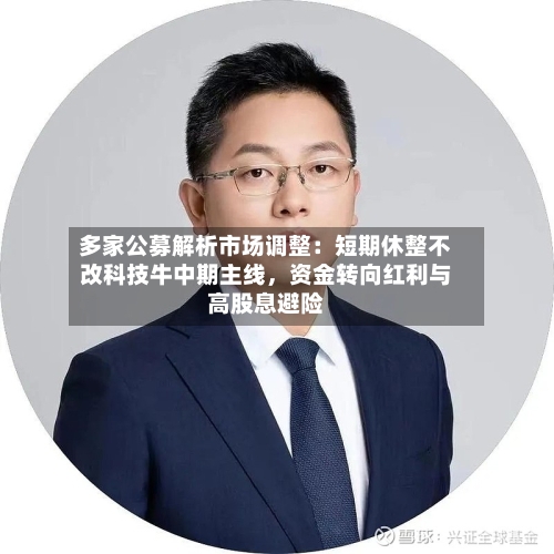 多家公募解析市场调整：短期休整不改科技牛中期主线	，资金转向红利与高股息避险-第2张图片