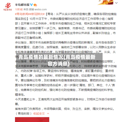 青岛疫情的最新情况(青岛疫情最新官方消息)-第2张图片