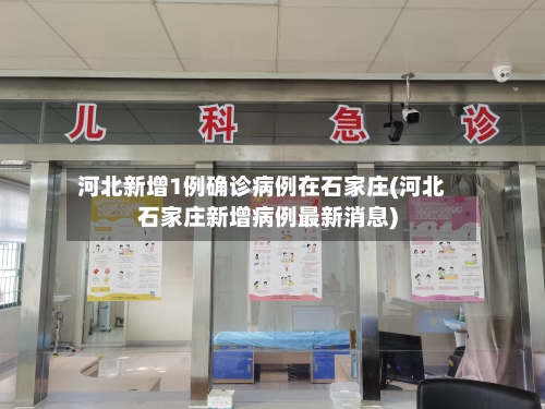河北新增1例确诊病例在石家庄(河北石家庄新增病例最新消息)-第2张图片