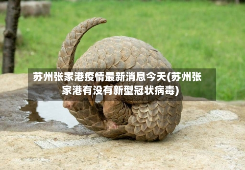 苏州张家港疫情最新消息今天(苏州张家港有没有新型冠状病毒)