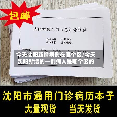 今天沈阳新增病例在哪个区/今天沈阳新增的一例病人是哪个区的-第2张图片