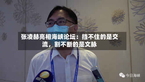 张凌赫亮相海峡论坛：挡不住的是交流，割不断的是文脉-第3张图片