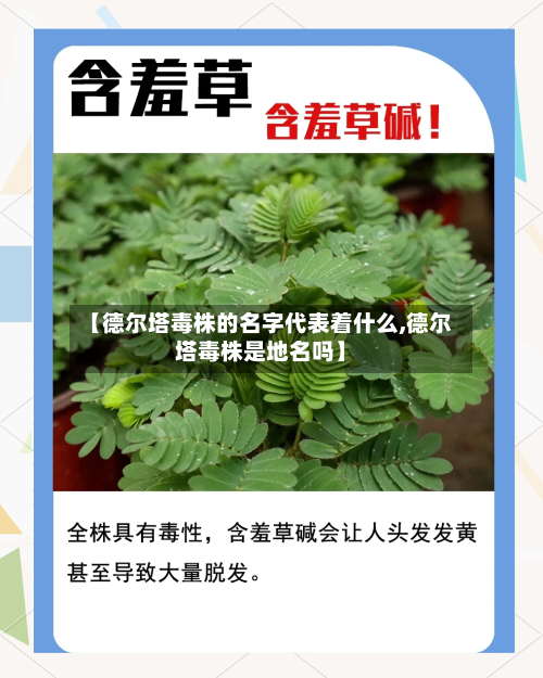 【德尔塔毒株的名字代表着什么,德尔塔毒株是地名吗】