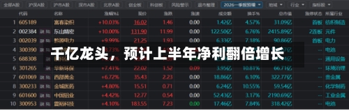 千亿龙头，预计上半年净利翻倍增长-第2张图片