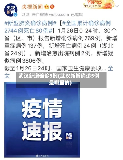 武汉新增确诊5例(武汉新增确诊5例是哪里的)
