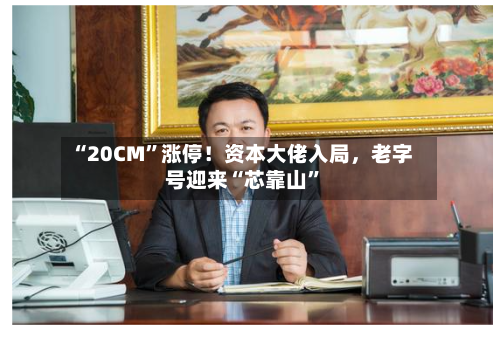 “20CM”涨停！资本大佬入局，老字号迎来“芯靠山	”-第2张图片