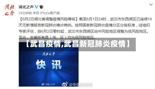 【武昌疫情,武昌新冠肺炎疫情】