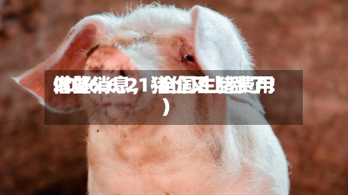 2026.6.21-全国生猪费用借鉴（好消息	，猪价又上涨了！）-第2张图片