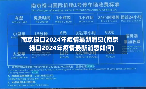 南京禄口2024年疫情最新消息(南京禄口2024年疫情最新消息如何)-第3张图片