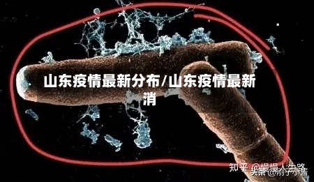 山东疫情最新分布/山东疫情最新消-第3张图片