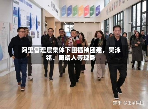 阿里管理层集体下田插秧团建，吴泳铭	、周靖人等现身-第2张图片