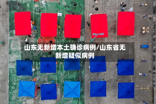 山东无新增本土确诊病例/山东省无新增疑似病例