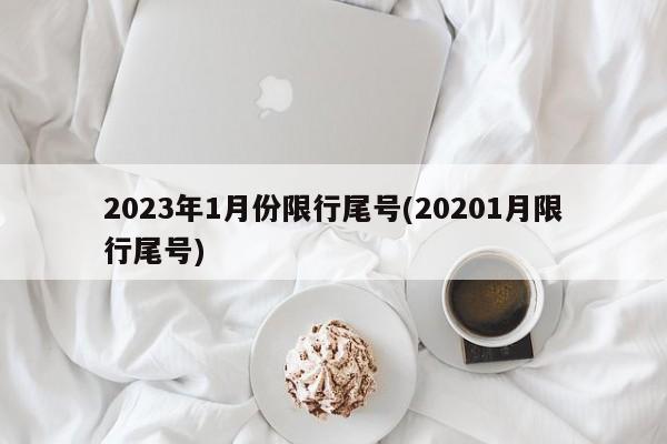 2023年1月份限行尾号(20201月限行尾号)