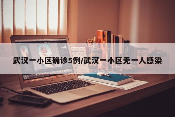 武汉一小区确诊5例/武汉一小区无一人感染