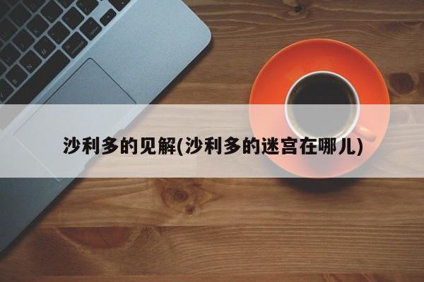 沙利多的见解(沙利多的迷宫在哪儿)