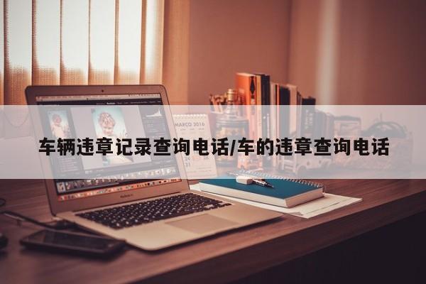 车辆违章记录查询电话/车的违章查询电话