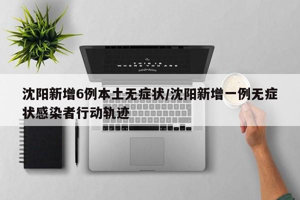 沈阳新增6例本土无症状/沈阳新增一例无症状感染者行动轨迹