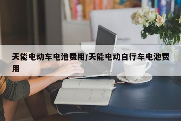 天能电动车电池费用/天能电动自行车电池费用